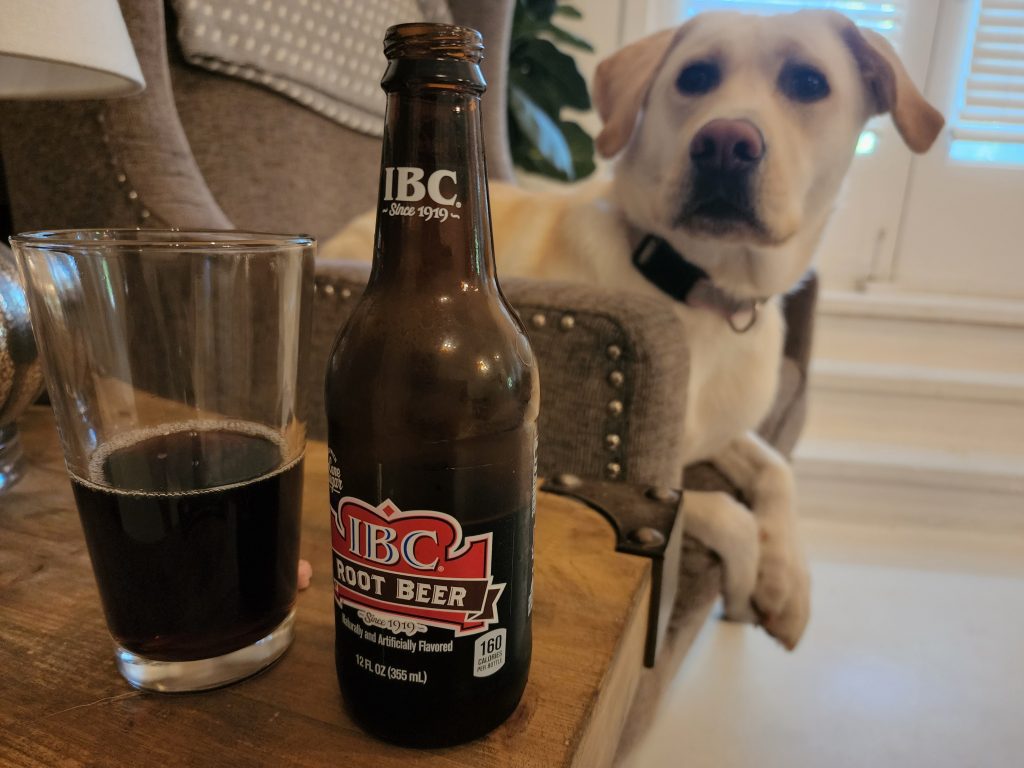 ibc root beer on table next to labrador