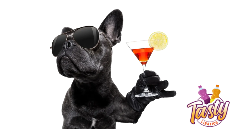 french bull dog holding glass of soda