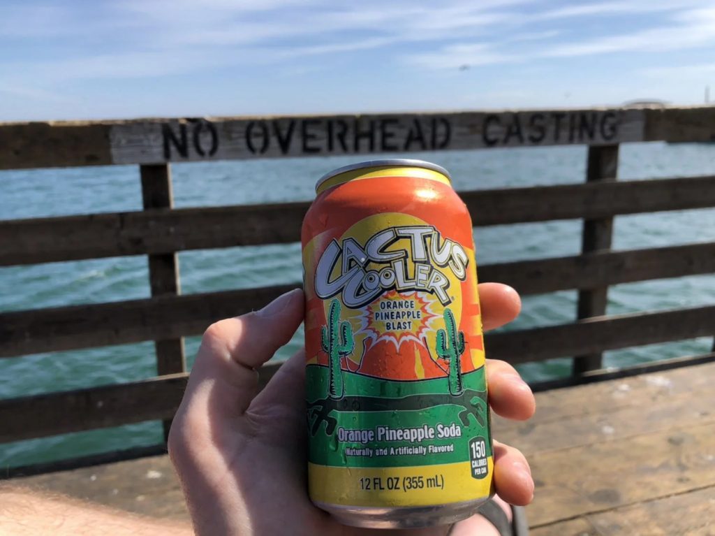 can of cactus cooler